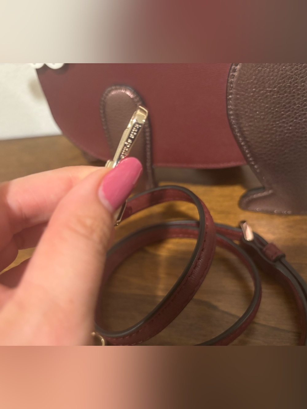 kate spade Burgundy and Brown Dog Crossbody Bag with Floral Face - Picture 5 of 13